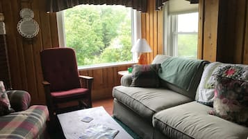 Televisio, takka, DVD-soitin, kirjoja