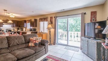 TV, fireplace, DVD player