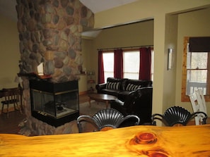 TV, fireplace, video games, DVD player
