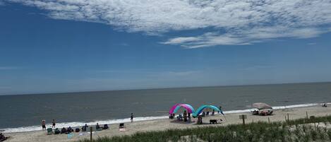 A beach with a clear sky, a sandy shore, and a few people.