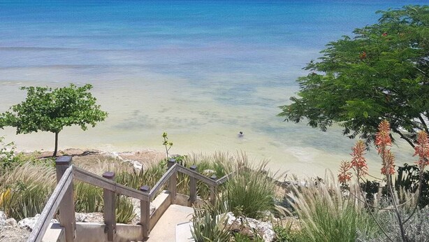 Een strand met helder water, een houten trap naar het strand en wat groen.