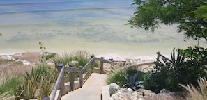 Plage à proximité, chaises longues, serviettes de plage
