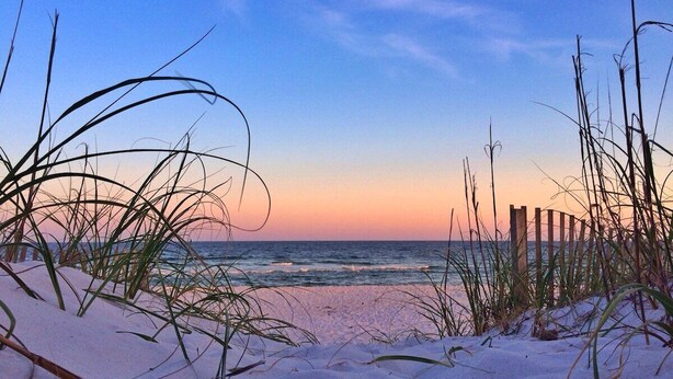 A beach scene with sand, grass, and a wooden fence. - 🌞 4.5 Bedroom 3 Bath townhome with 2 community pools 🏖️ (Pensacola Beach)