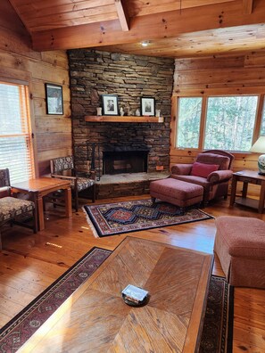 Smart TV, fireplace, video games, DVD player