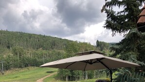 Un bain à remous avec vue sur une colline boisée.