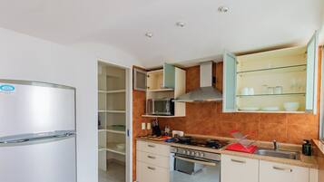 Frigorífico, microondas, horno y placa de cocina