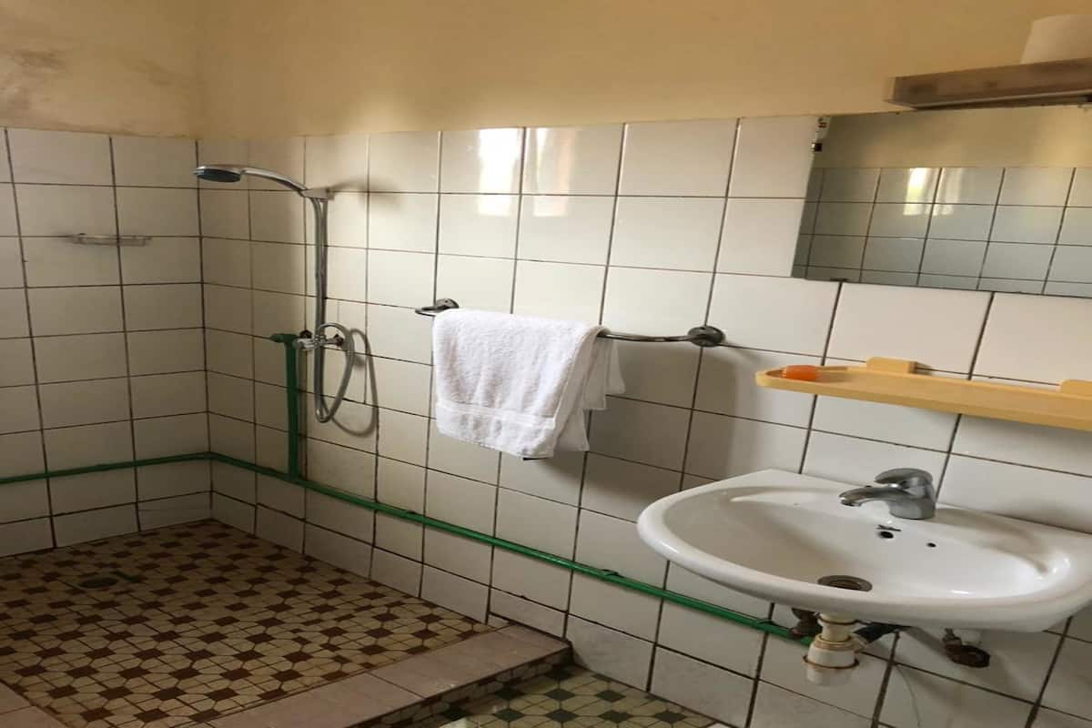 shower, rainfall showerhead, free toiletries, bidet