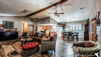 TV, fireplace, DVD player, books