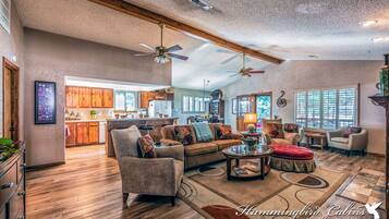 TV, fireplace, DVD player, books