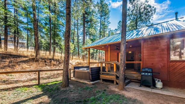 Eine Hütte mit überdachter Veranda, Grill und Whirlpool.