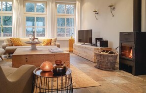 Télévision, cheminée, lecteur de DVD