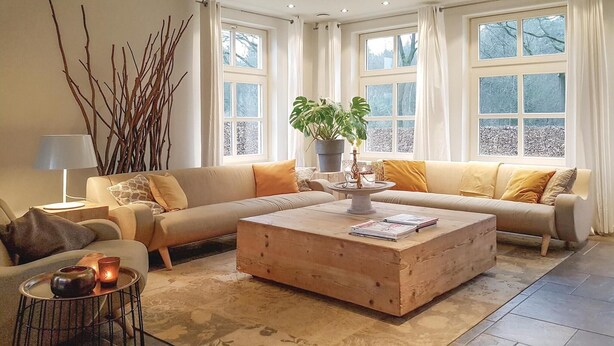A cozy living room with a sofa, coffee table, and a potted plant. - Pet friendly home in Leende with house a panoramic view (Leende)