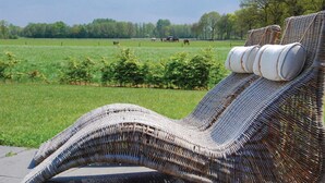 A wicker lounge chair with a view of a green field and trees in the background. - Pet friendly home in Leende with house a panoramic view (Leende)