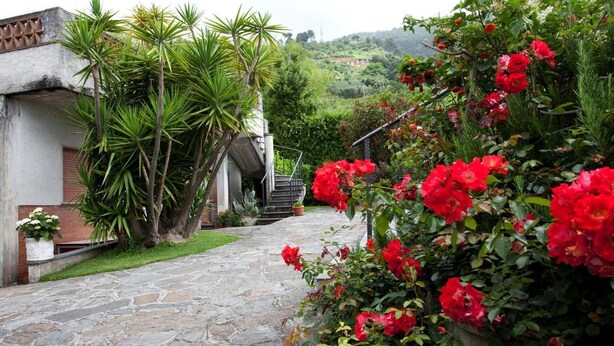 A stone pathway leading to a house with a garden featuring red flowers and green plants. - Hotel Ristorante Grappolo D'Oro (Pietrasanta)