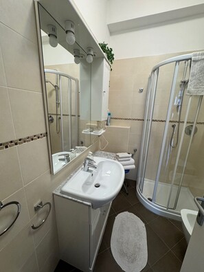 Shower, hair dryer, bidet, towels