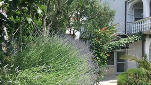Un jardín con plantas de lavanda y un edificio blanco con balcón.