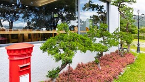 A modern building with a large window reflecting trees and a clear sky. - Beluck (Luye)
