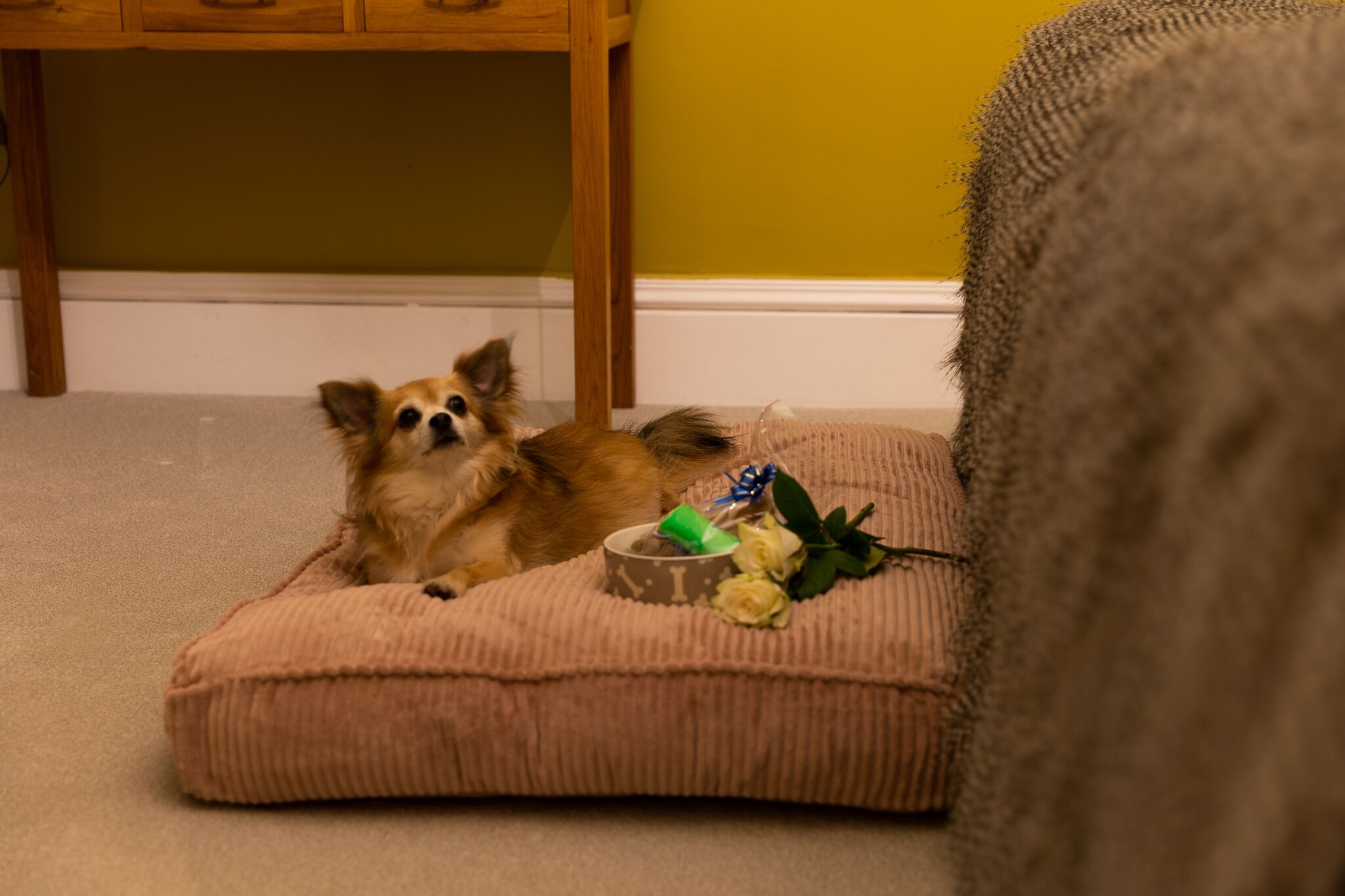 luxury double room, ensuite (dogwood bark )