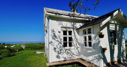 Lighthouse View Lofoten