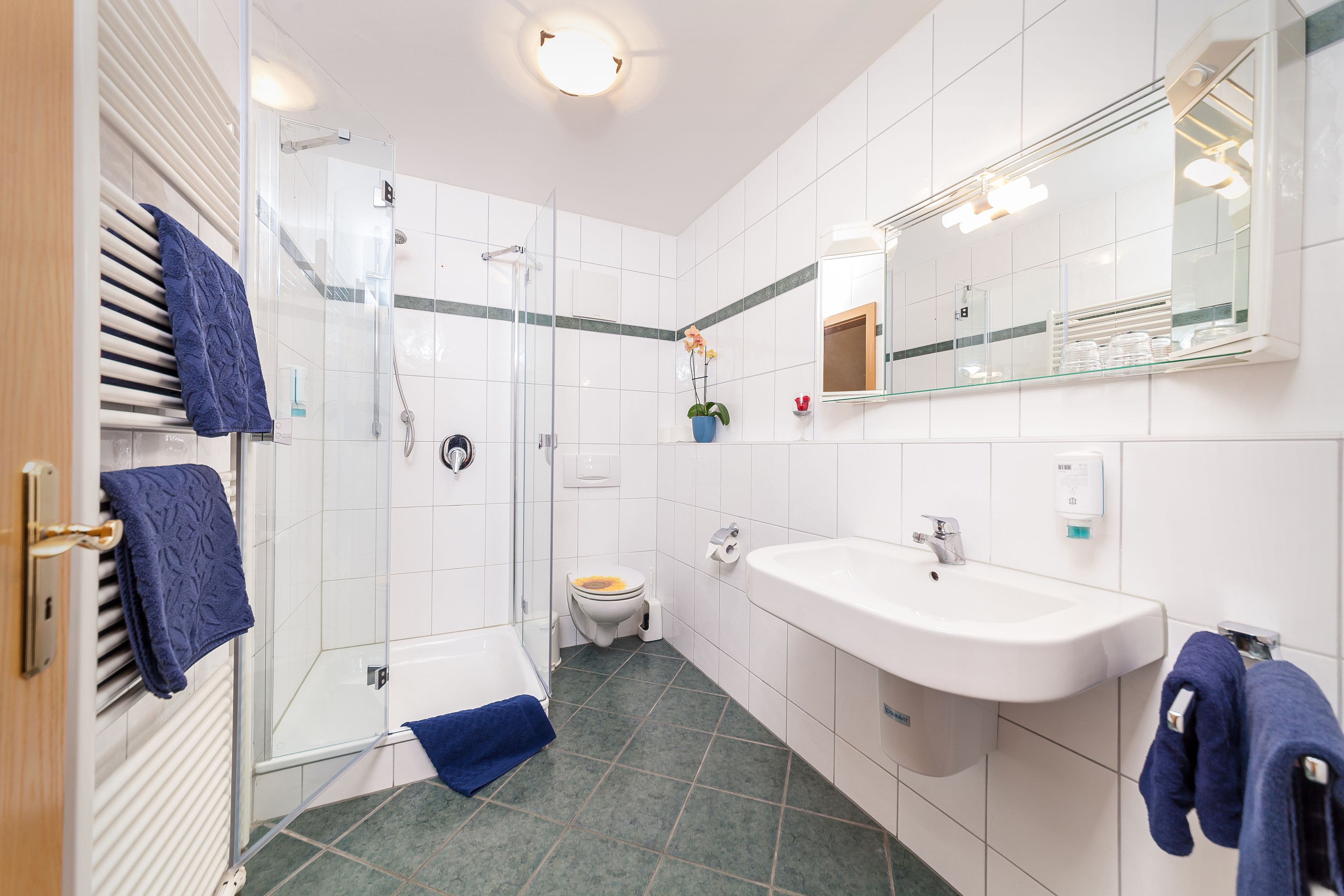 Shower, towels