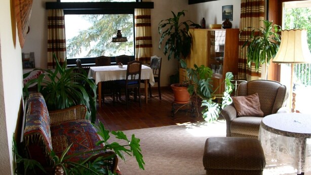 A cozy living room with a dining area, wooden ceiling, large windows, and various plants. - House Luise on Bostalsee, apartment 1: panoramic view and large balcony (Saar)
