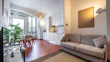 公寓, 1 间卧室 | 起居区 | 平板电视