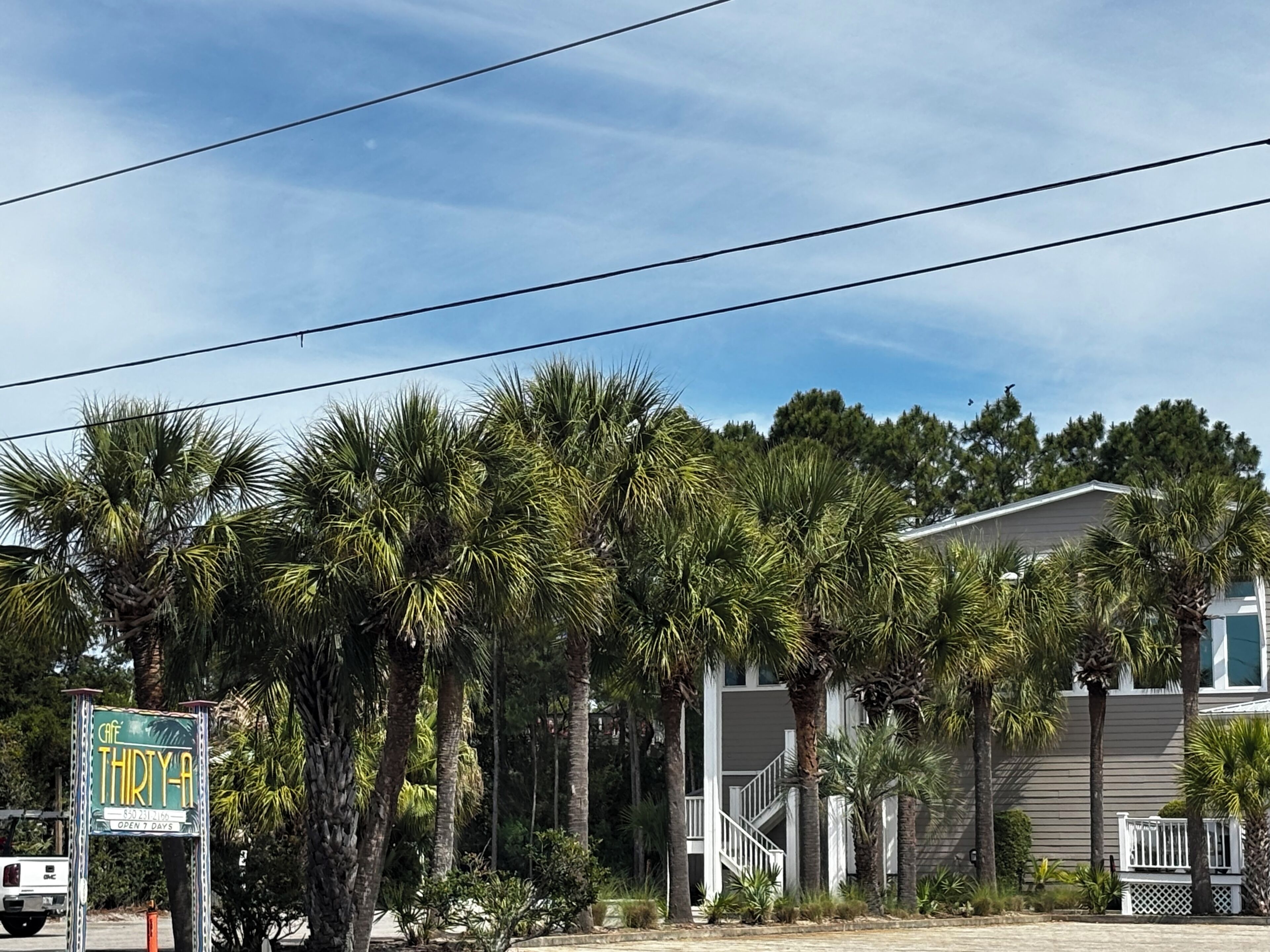 A building with a sign advertising a cafe, surrounded by palm trees and a clear sky.