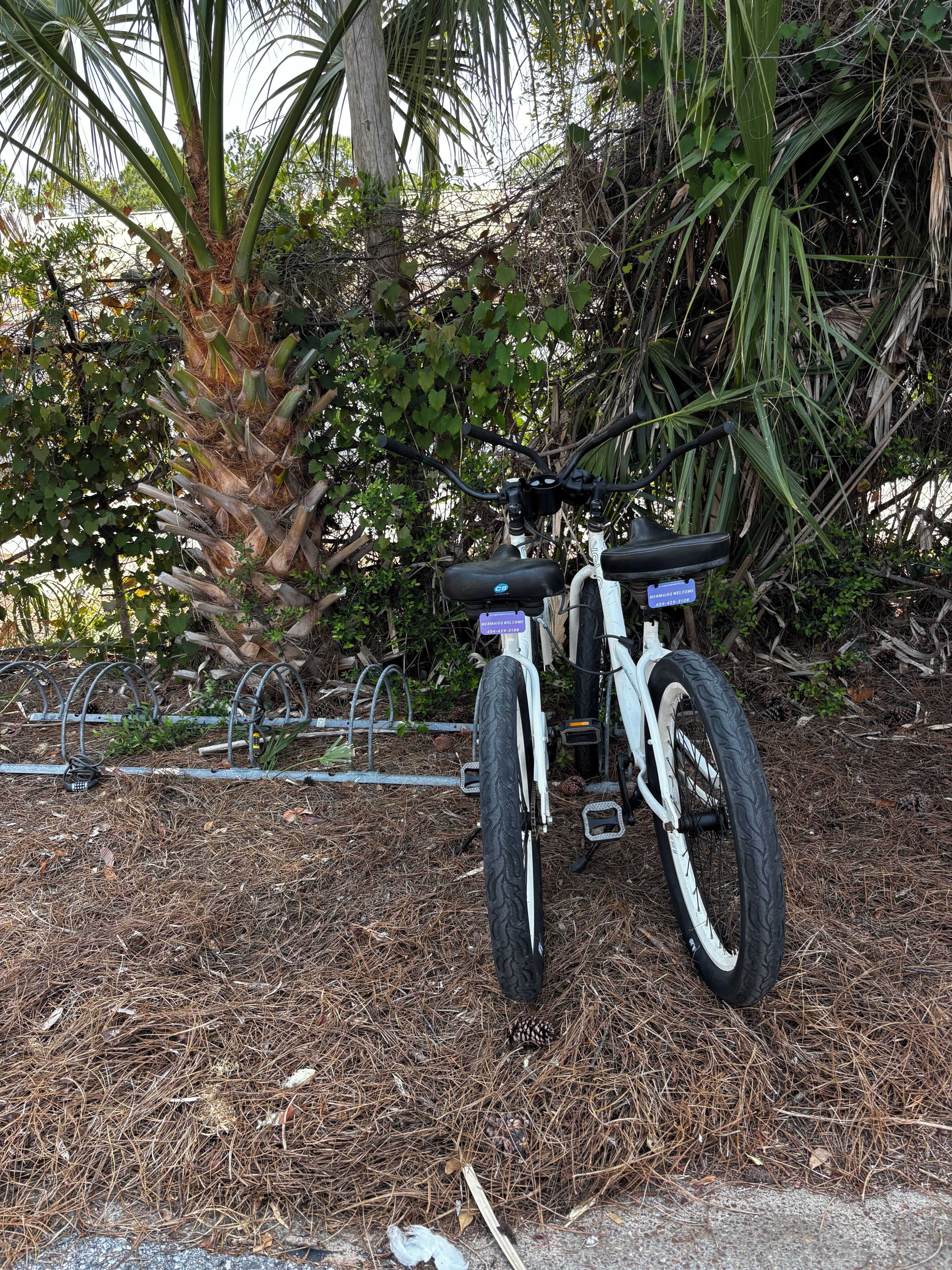 Una bicicleta estacionada en un entorno natural con una valla metálica y un letrero que dice 'Welcome'.