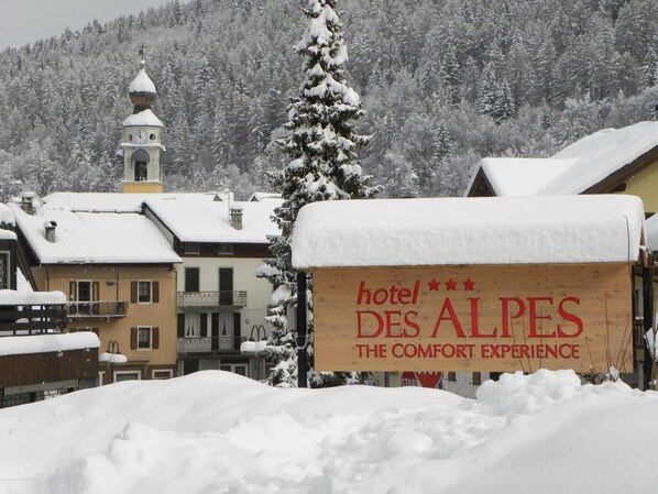 Exterior detail - Hotel Des Alpes (Folgaria)
