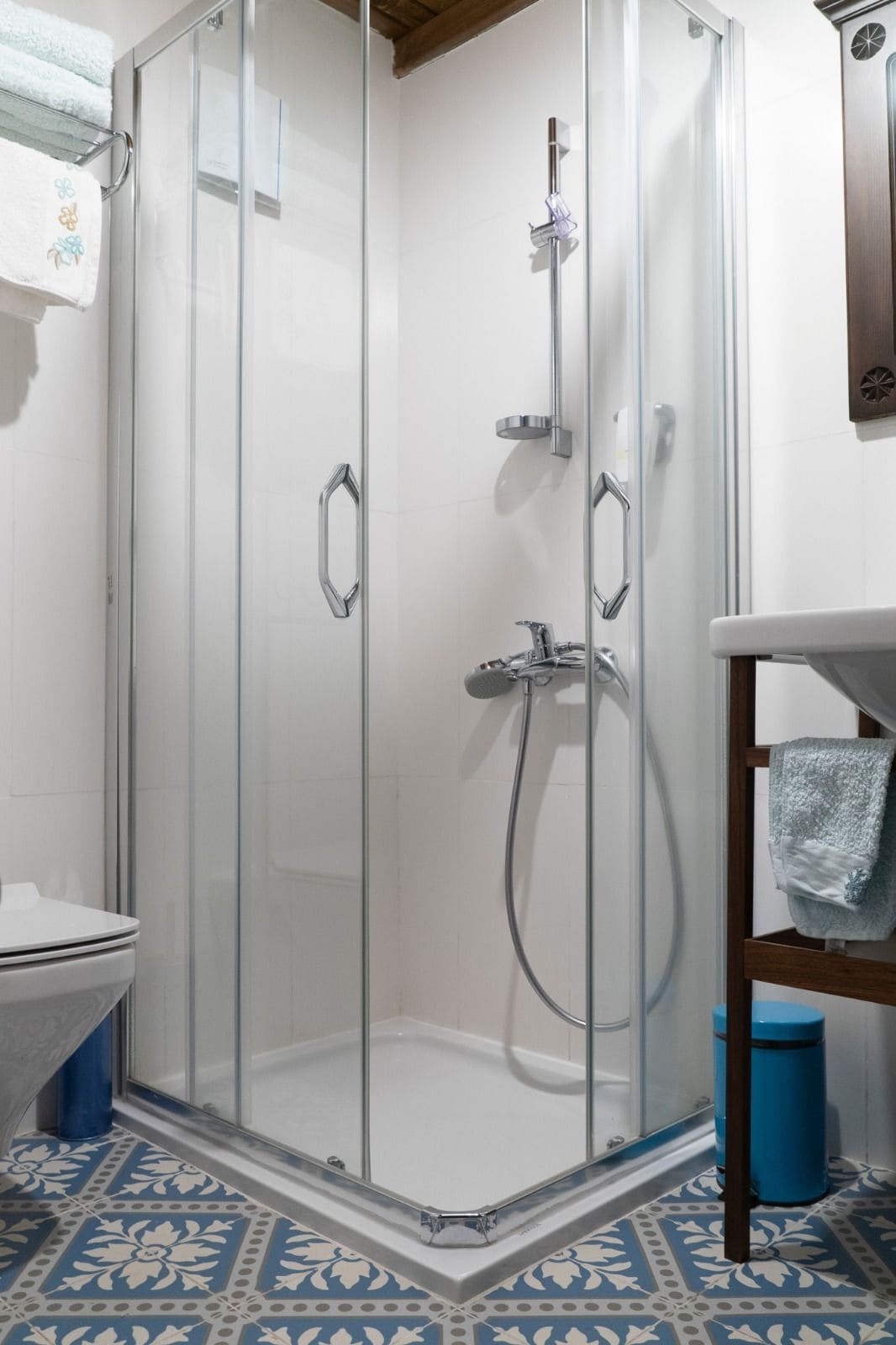 standard room | bathroom shower