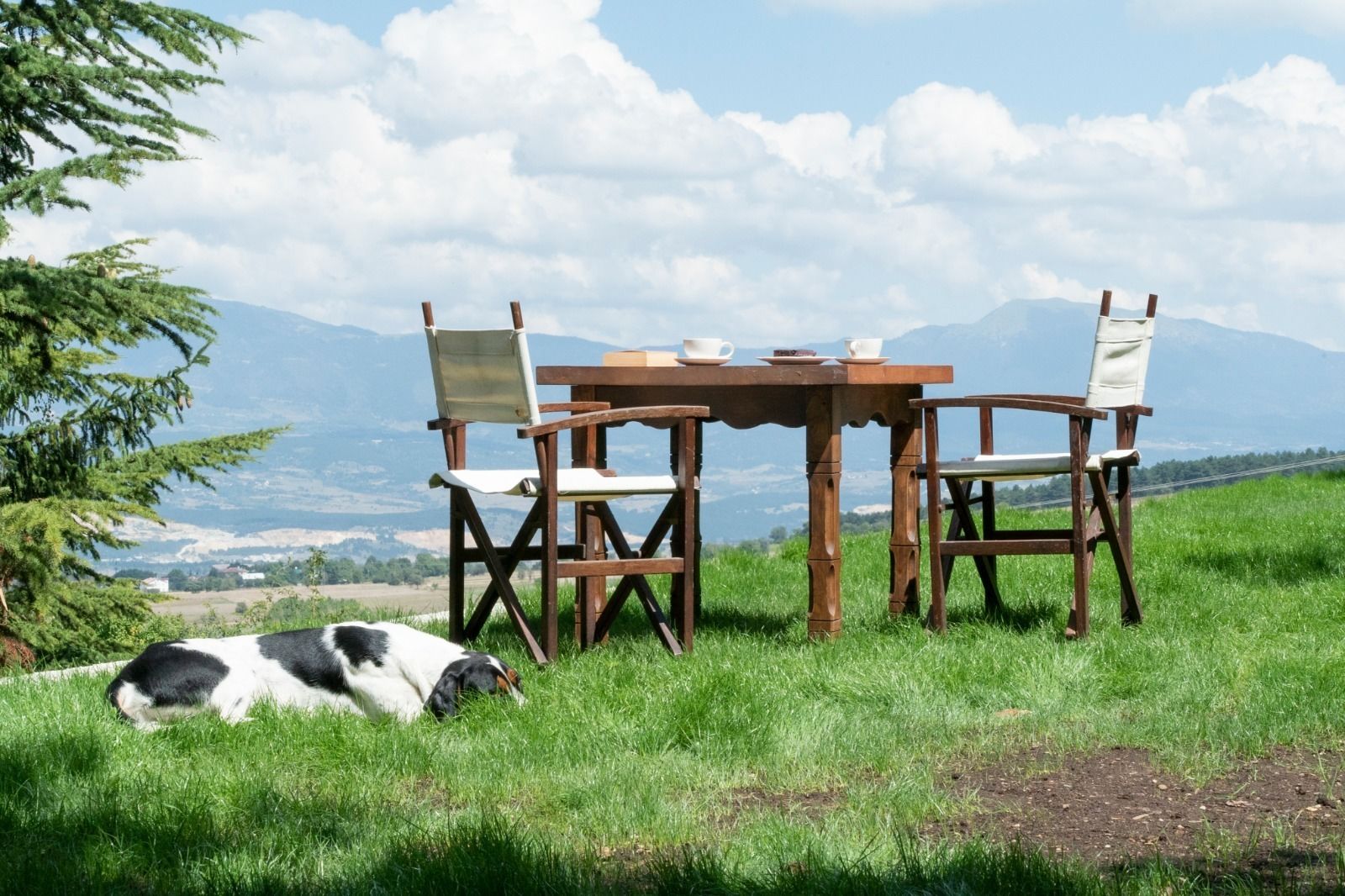 breakfast, lunch and dinner served