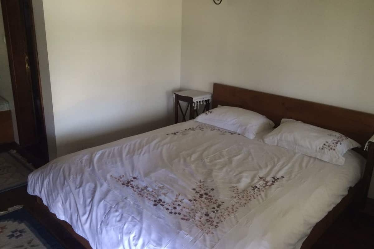 standard room | individually decorated, iron/ironing board, free wifi