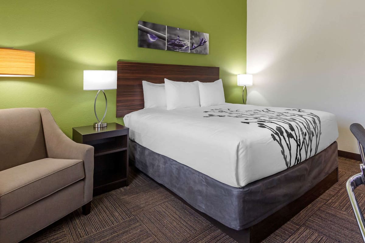 A hotel room with a bed, a sofa, a nightstand, and a lamp.