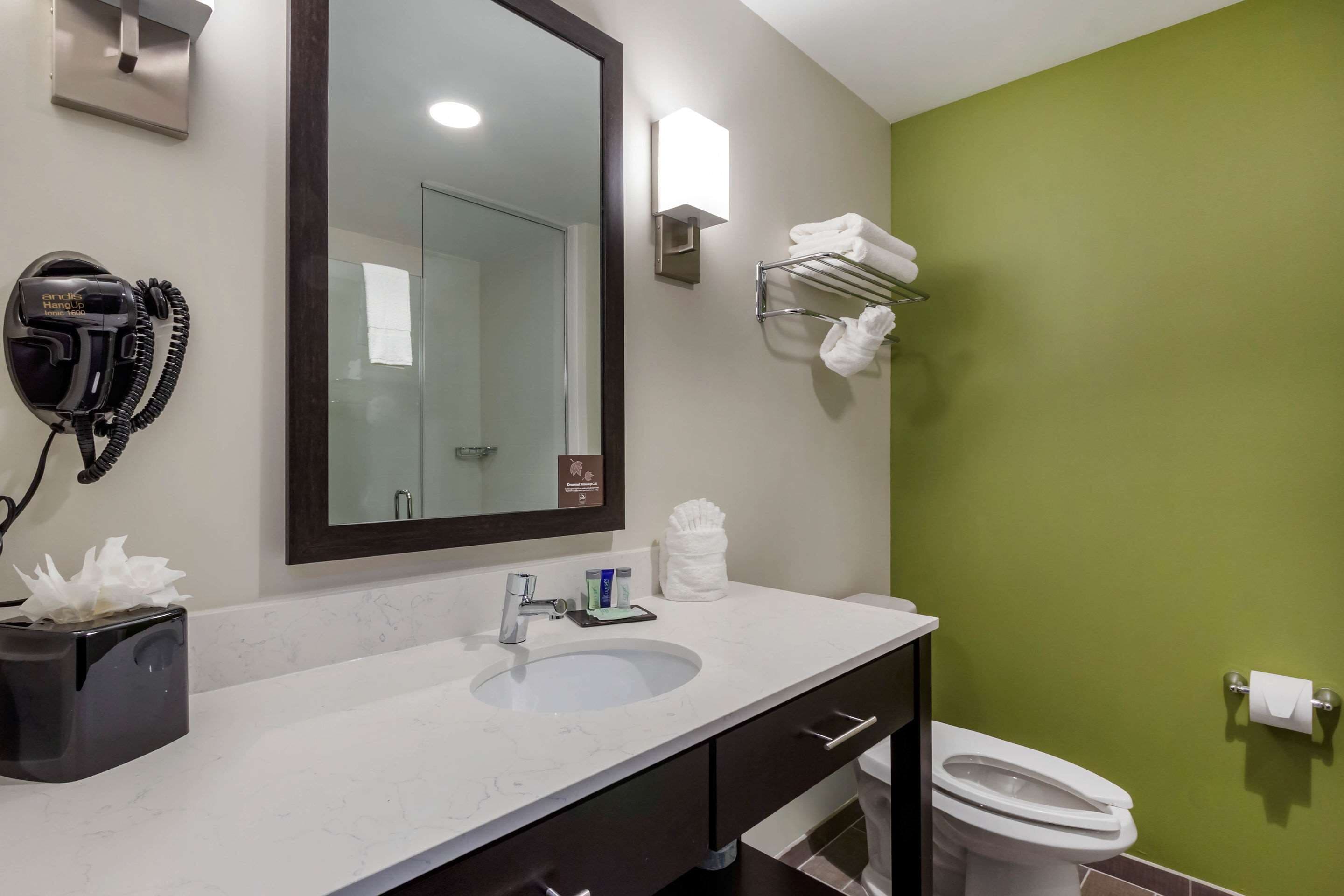 standard room, 1 king bed, non smoking | bathroom | shower, free toiletries, hair dryer, towels