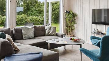 TV, caminetto, lettore DVD, tavolo da calcetto