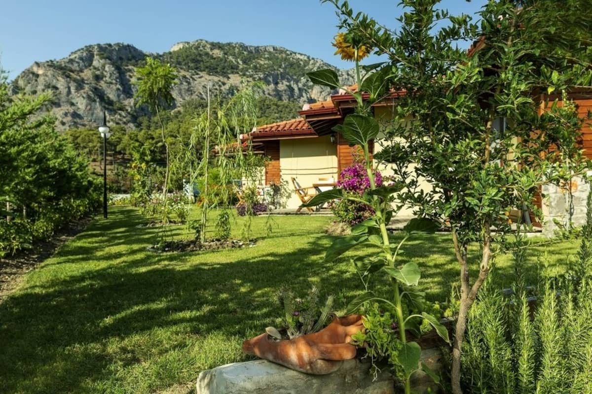 standard room | garden view