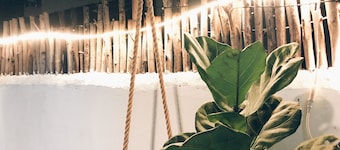 VANI HOME - 200m to the beach