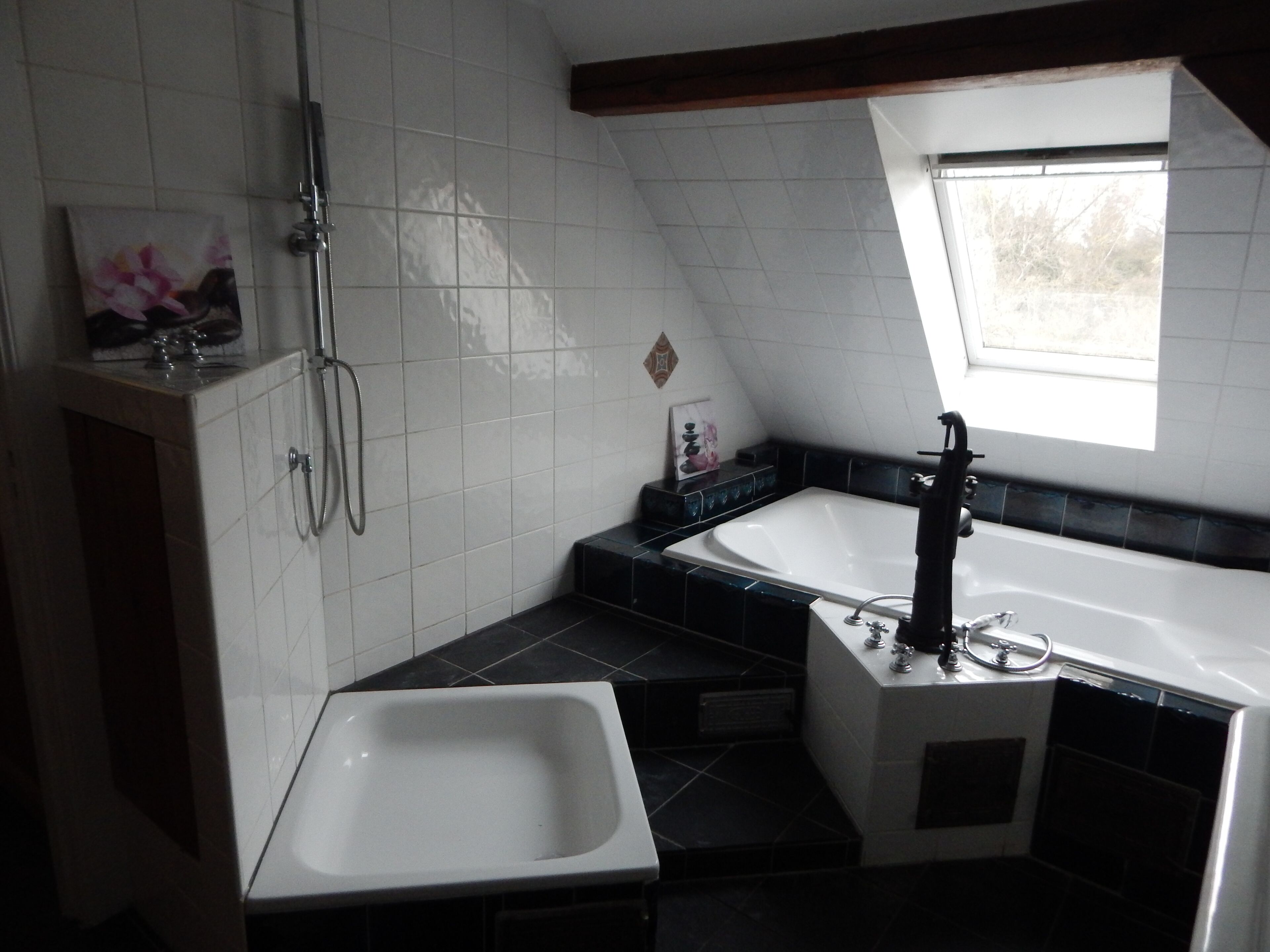 A modern bathroom with a freestanding bathtub, a separate sink, and a shower.