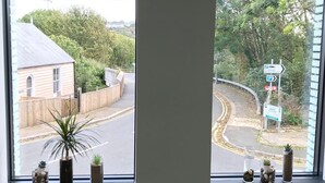 A room with two large windows, each with a small plant on the windowsill.