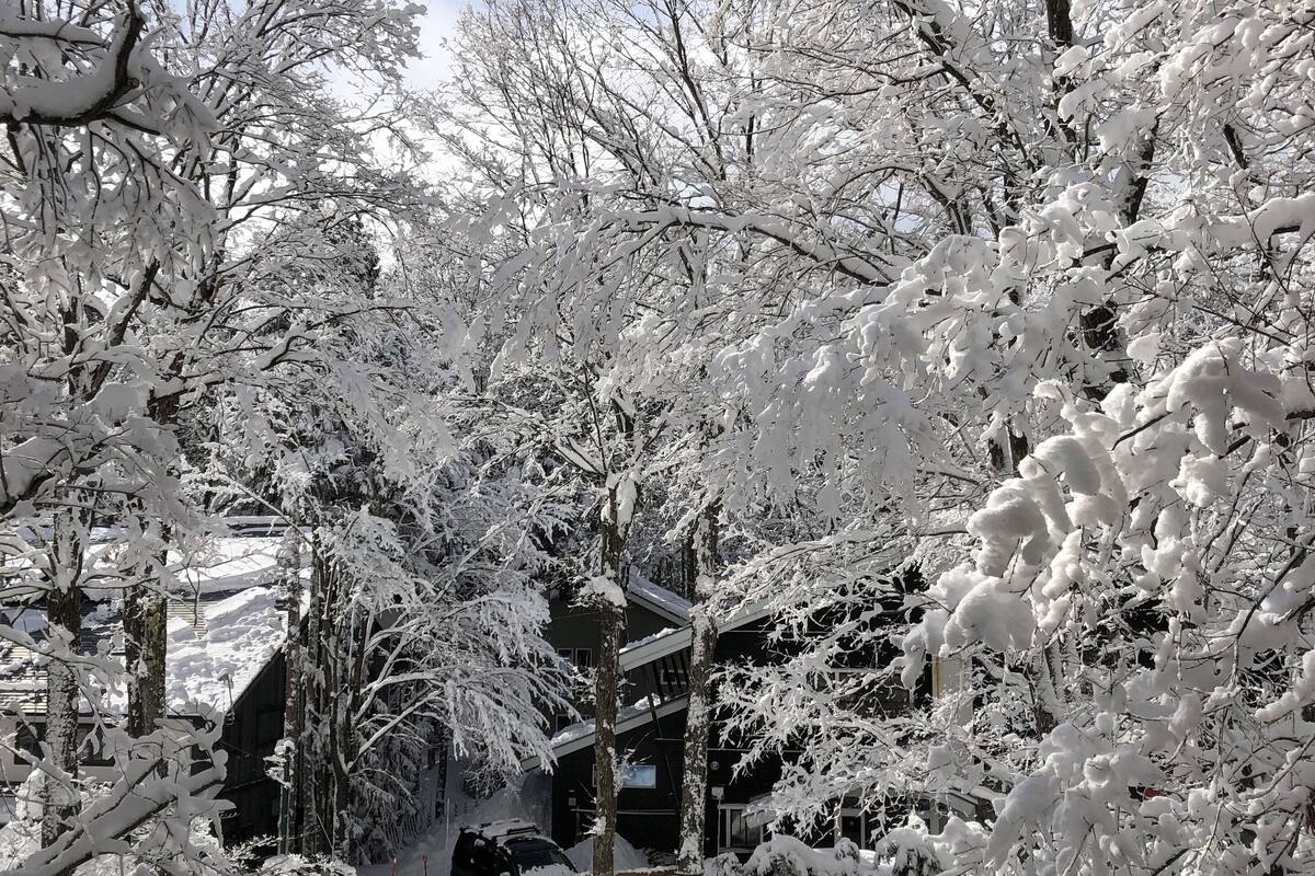 Un paysage enneigé avec des arbres et un bâtiment.