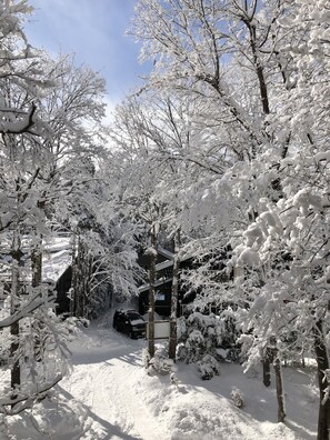 Premium bedding, down duvets, Select Comfort beds, in-room safe