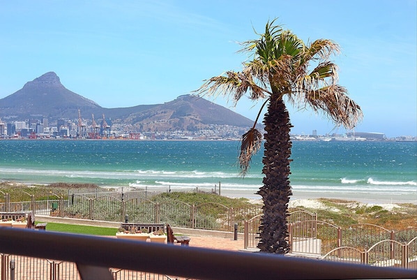 A coastal view with a palm tree, a mountain in the background, and a cityscape across the water.
