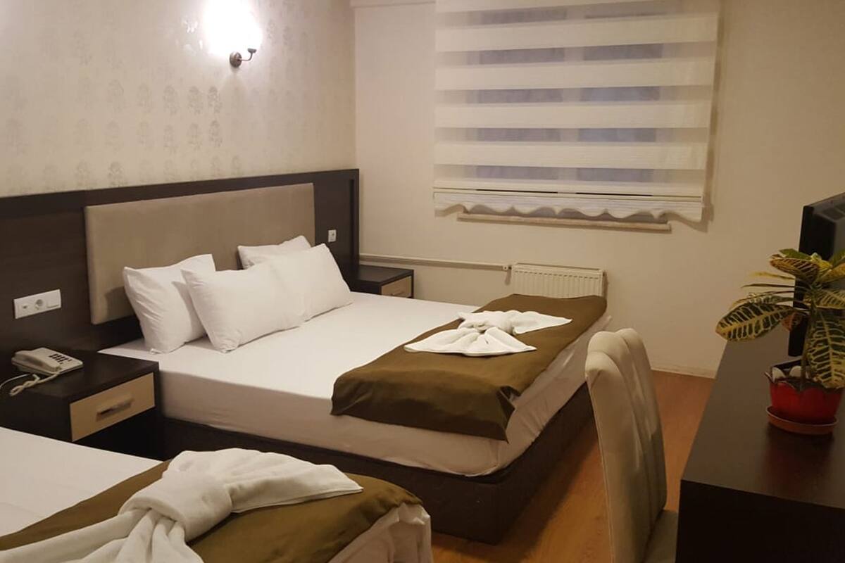 Habitació d'hotel amb dos llits, una taula de nit amb telèfon, un radiador, una finestra amb persianes i una planta en test.
