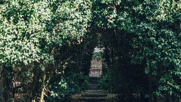 A pathway leading through a dense green area with a bench and a railing.