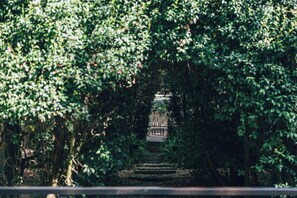 A pathway leading through a dense green area with a bench and a railing. - Plenilunio Hotel (Mar de Las Pampas)