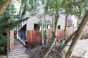 A pathway leading to a building with a wooden deck and a fenced area with trees and plants.
