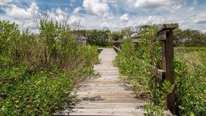 A wooden boardwalk leading through a natural area with dense vegetation and a clear sky.
