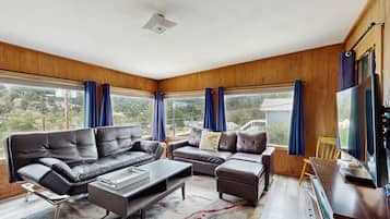 Tv, Netflix, dvd-spelare och streamingtjänster