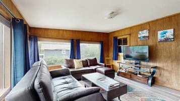 Televisión, Netflix, reproductor de DVD, servicios de streaming