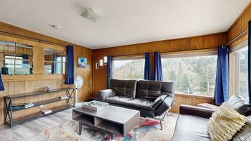 TV, Netflix, DVD player, streaming services